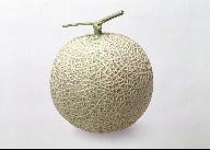 穆斯林的古尔邦节